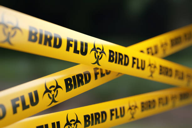 Vaccine Makers Prep Bird Flu Shot For Humans ‘Just in Case’; Rich Nations Lock in Supplies
